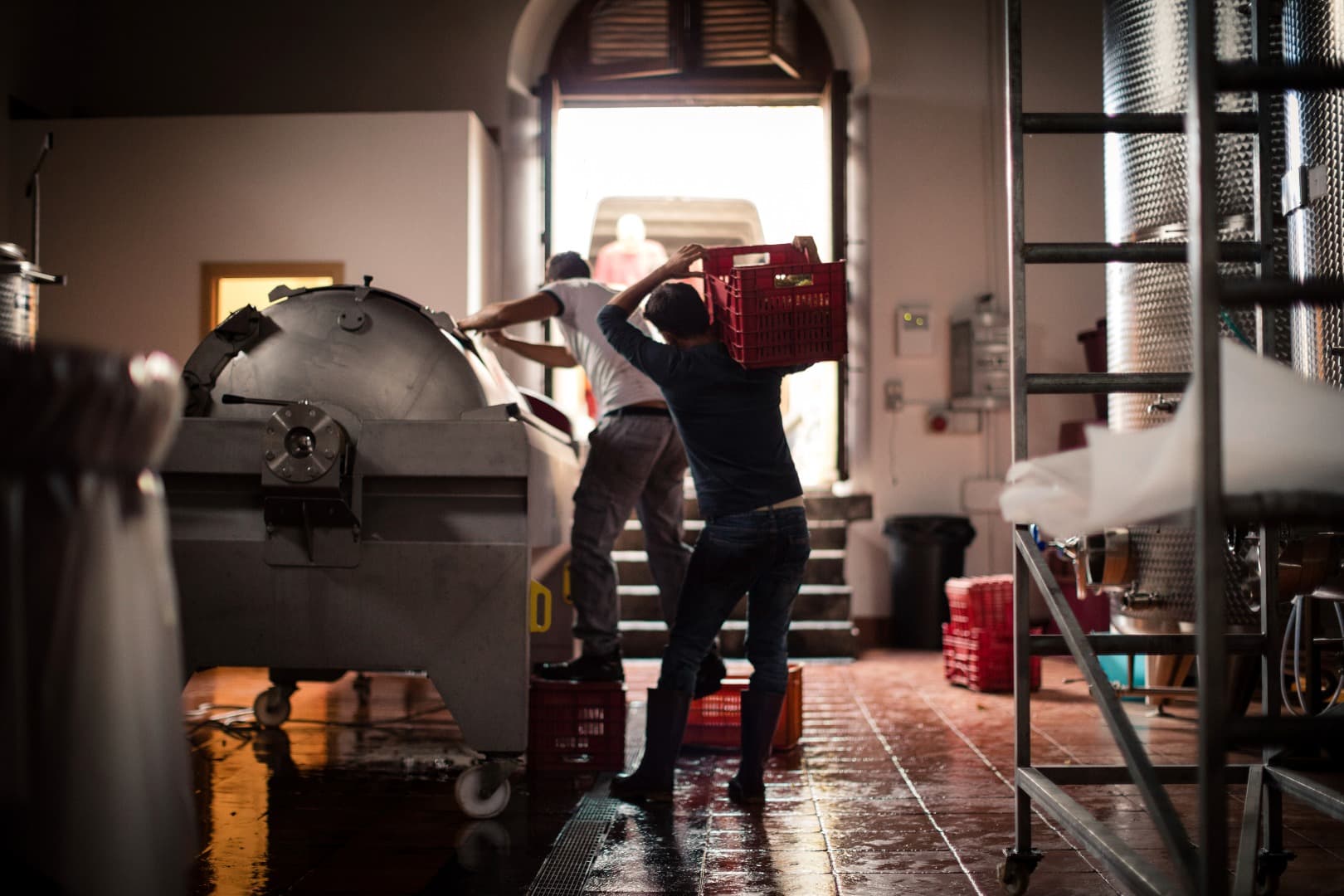 Национальная виза D в Италию для работы по найму: условия, оформление и правила трудоустройства 2025